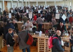 Vino in-dipendente 2025, decima edizione Calvisano cantine presenti evento vini artigianali brescia stefano belli sommelier