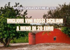 Migliori vini rossi siciliani a meno di 20 euro report Sicilia en Primeur 2024 Assovini Sicilia