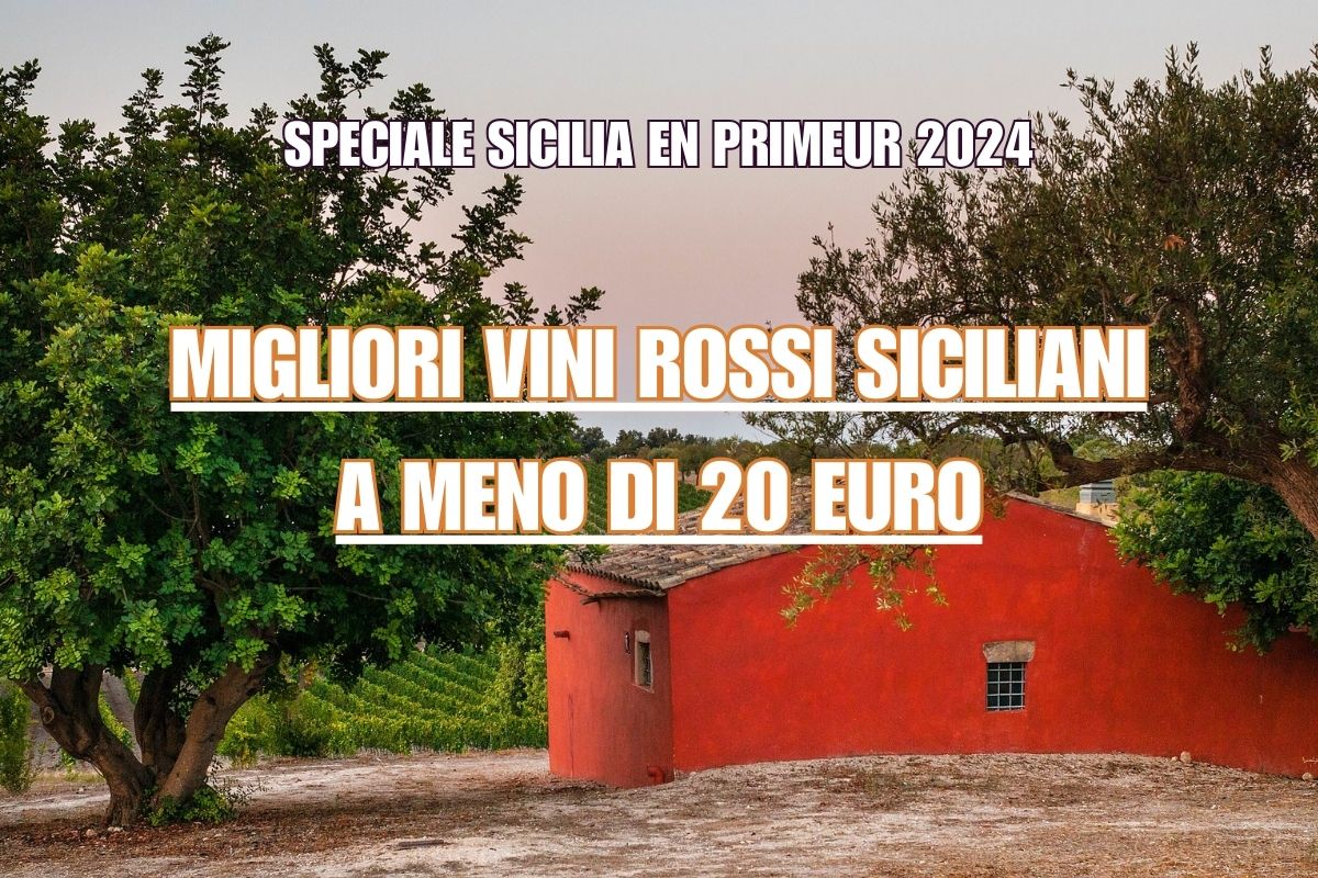 Migliori vini rossi siciliani a meno di 20 euro report Sicilia en Primeur 2024 Assovini Sicilia