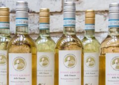 Pinot Grigio delle Venezie crescono imbottigliamenti e certificazioni 2024