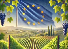 Promozione settore vinicolo come accedere ai finanziamenti in Ue unione europea