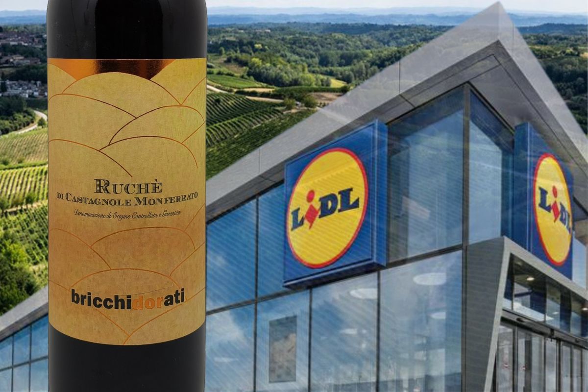 ruchè bricchi dorati di castagnole monferrato Lidl Ferraris Agricola degustazione vini al supermercato winemag