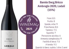 Barolo Docg Bricco Ambrogio 2020, Lodali