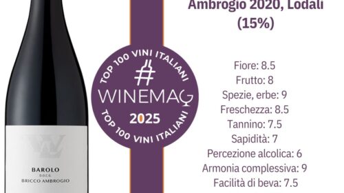 Barolo Docg Bricco Ambrogio 2020, Lodali