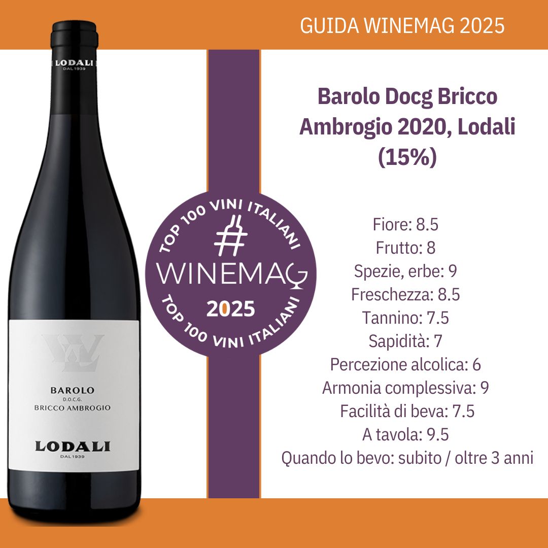 Barolo Docg Bricco Ambrogio 2020, Lodali