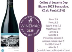 Colline di Levanto Dop Bianco 2023 Bonazolae, Cà du Ferrà