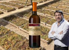 Muoia Sassicaia, con tutti i Ben Ryé report i furbi del passito di pantelleria editoriale davide bortone winemag