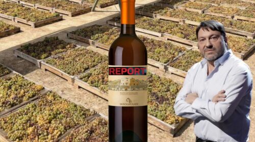 Muoia Sassicaia, con tutti i Ben Ryé report i furbi del passito di pantelleria editoriale davide bortone winemag