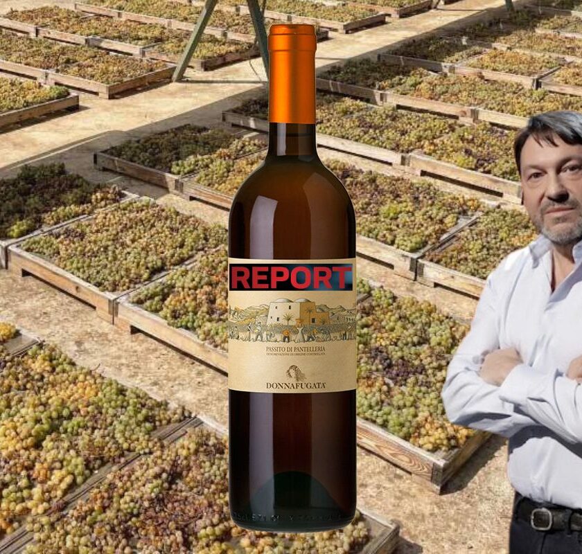 Muoia Sassicaia, con tutti i Ben Ryé report i furbi del passito di pantelleria editoriale davide bortone winemag