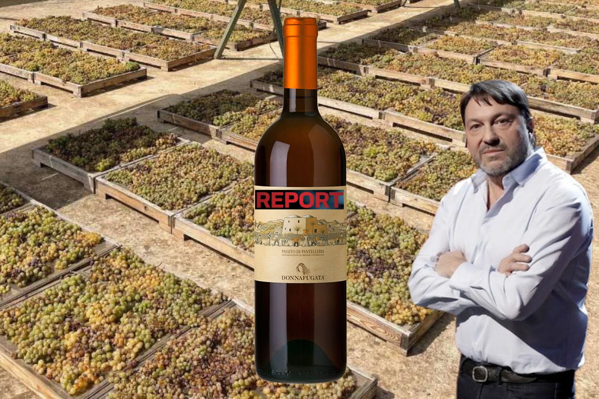 Muoia Sassicaia, con tutti i Ben Ryé report i furbi del passito di pantelleria editoriale davide bortone winemag