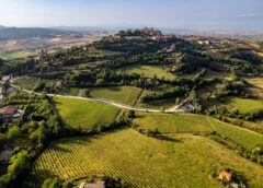 Progetto CONCERTO così il Nobile di Montepulciano «governa la sostenibilità» con Morellino di Scansano, Brunello di Montalcino, Bolgheri e Bolgheri Sassicaia