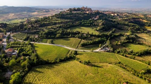 Progetto CONCERTO così il Nobile di Montepulciano «governa la sostenibilità» con Morellino di Scansano, Brunello di Montalcino, Bolgheri e Bolgheri Sassicaia