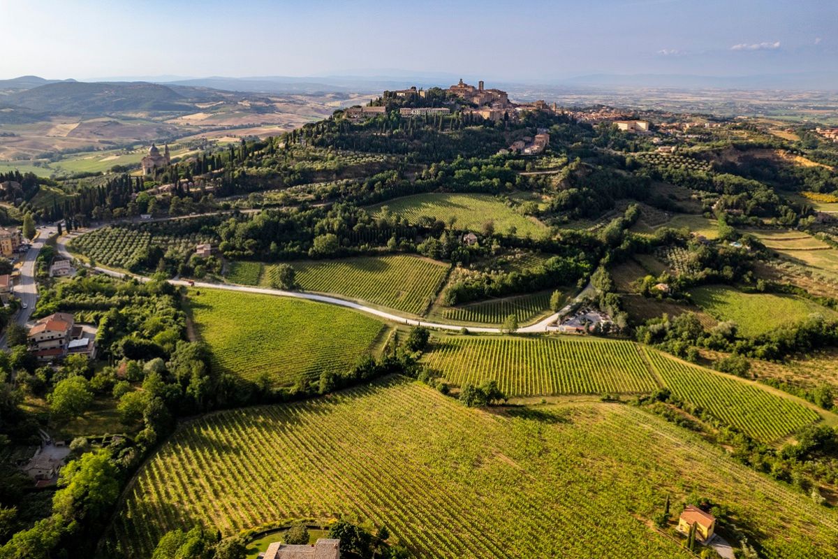 Progetto CONCERTO così il Nobile di Montepulciano «governa la sostenibilità» con Morellino di Scansano, Brunello di Montalcino, Bolgheri e Bolgheri Sassicaia