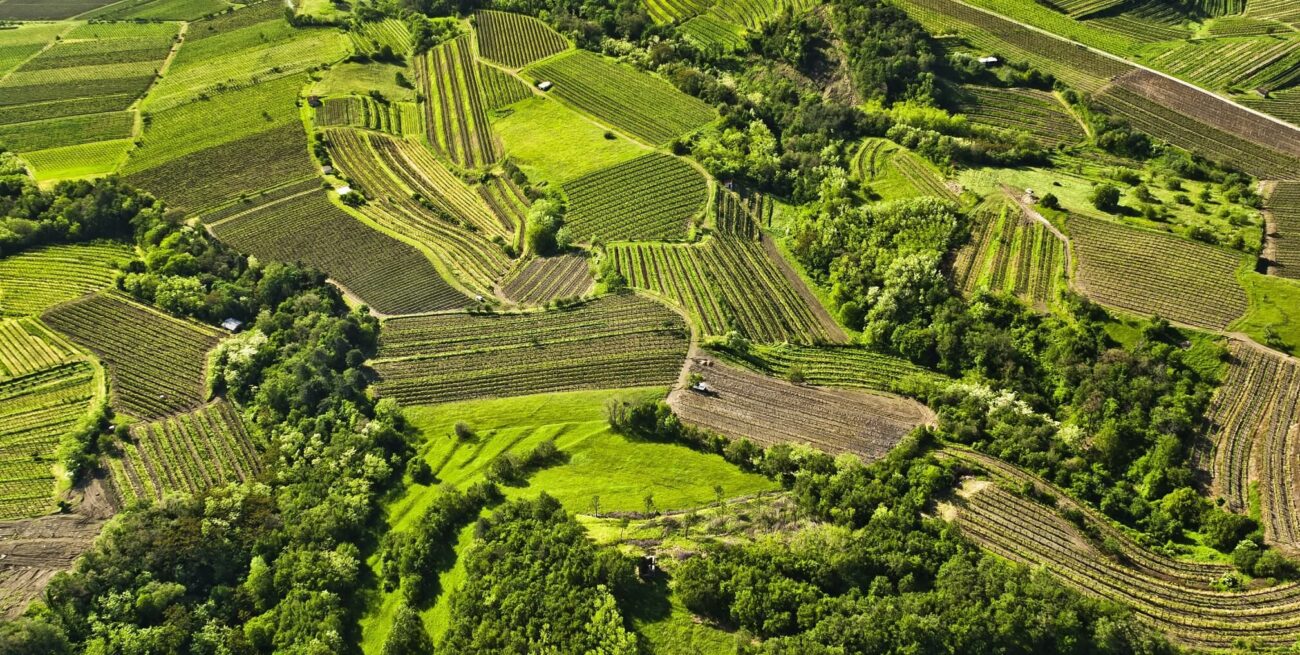 Vipava Valley vini macerati sloveni 10 top orange wine Slovenia da assaggiare paradiso nascosto vini macerati Slovenia Valle del Vipava valle del Vipacco Vipavska Dolina