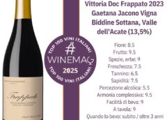 Vittoria Doc Frappato 2023 Vigna Biddine Sottana 2023 - Vino di Contrada, Valle dell'Acate