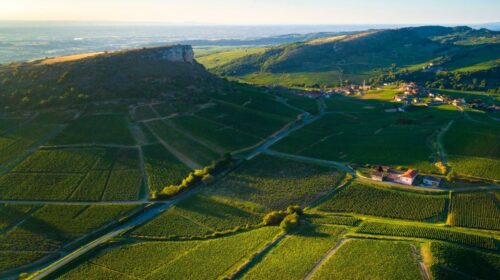 Borgogna, bottiglie di vino più leggere è Bourgogne Neutralité 2035