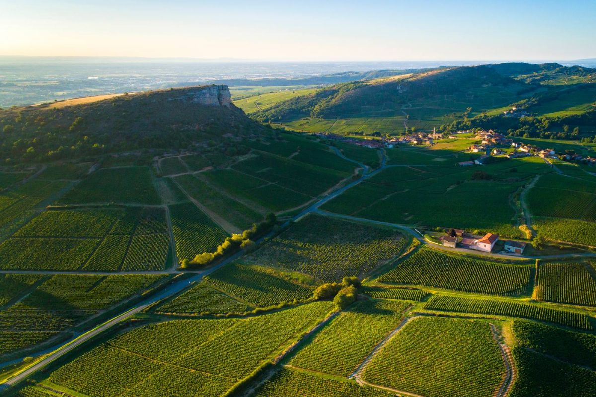 Borgogna, bottiglie di vino più leggere è Bourgogne Neutralité 2035