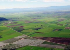 Capitanata-spumante-metodo-classico-D-Arapri-fa-scuola-la-Puglia-punta-sulle-bollicine-