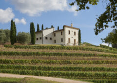 Famiglie Storiche (fu dell Amarone) dentro Bertani, fuori Venturini novità in valpolicella