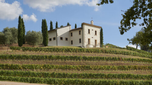 Famiglie Storiche (fu dell Amarone) dentro Bertani, fuori Venturini novità in valpolicella