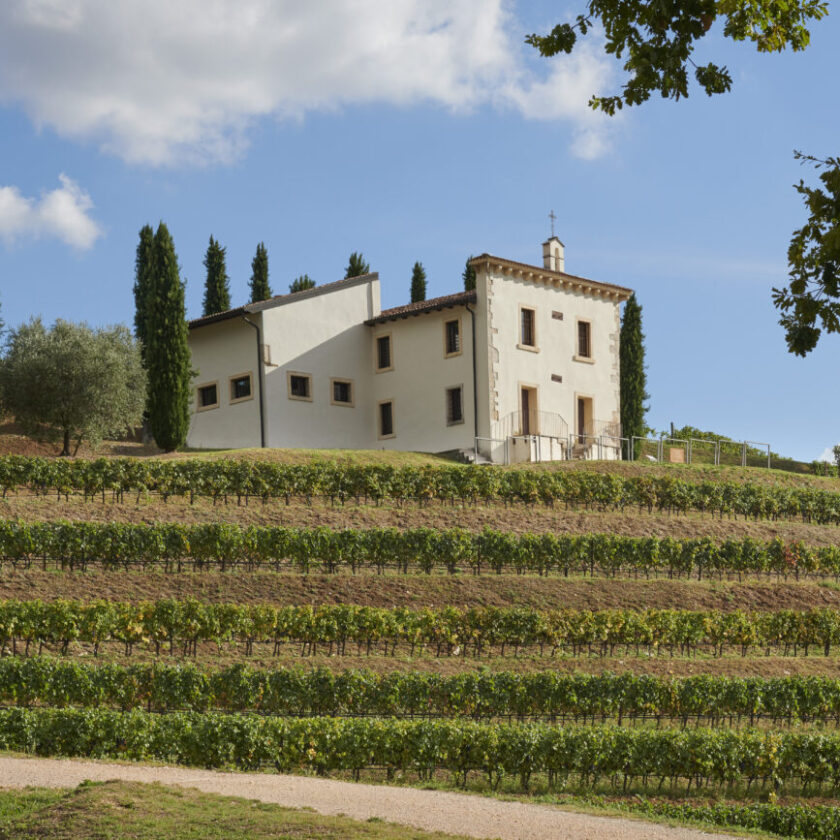 Famiglie Storiche (fu dell Amarone) dentro Bertani, fuori Venturini novità in valpolicella