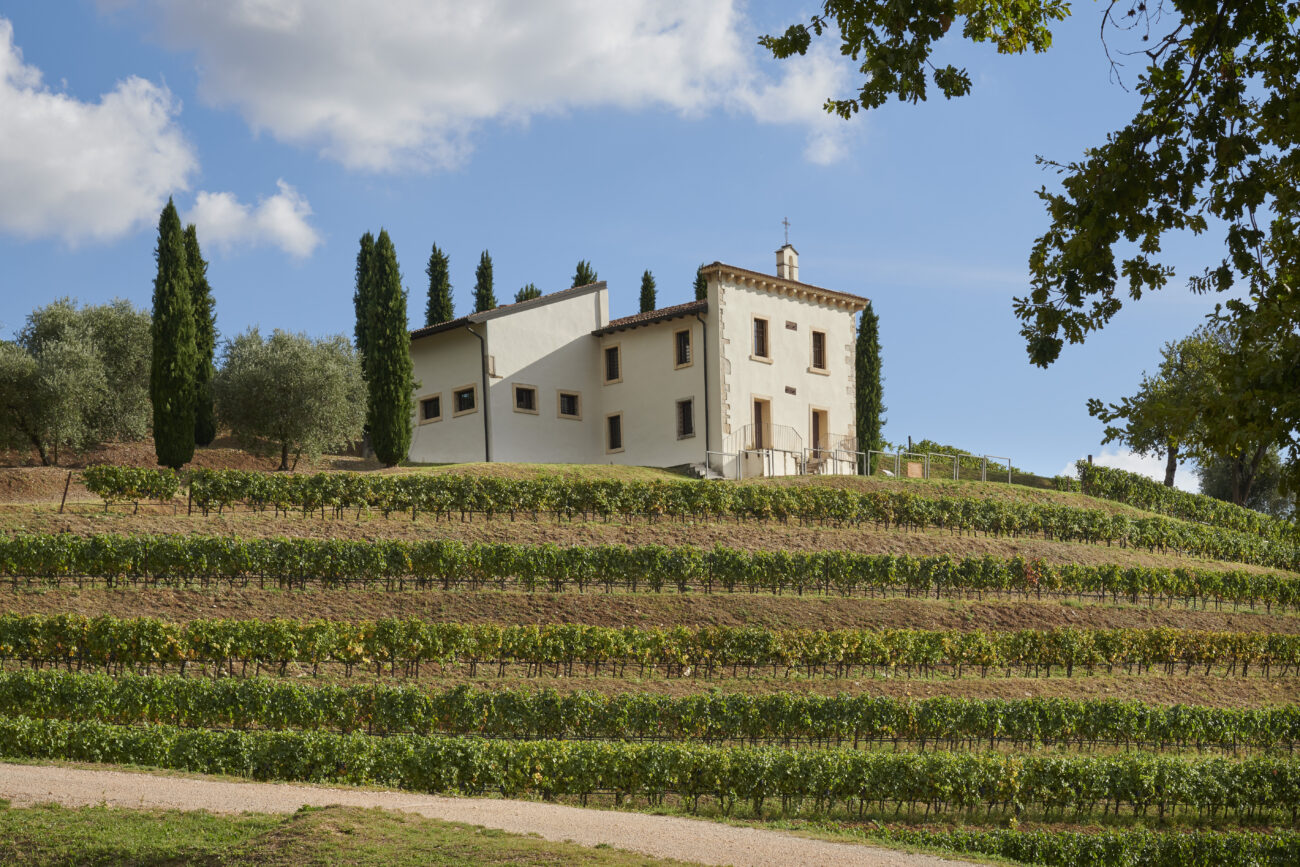 Famiglie Storiche (fu dell Amarone) dentro Bertani, fuori Venturini novità in valpolicella