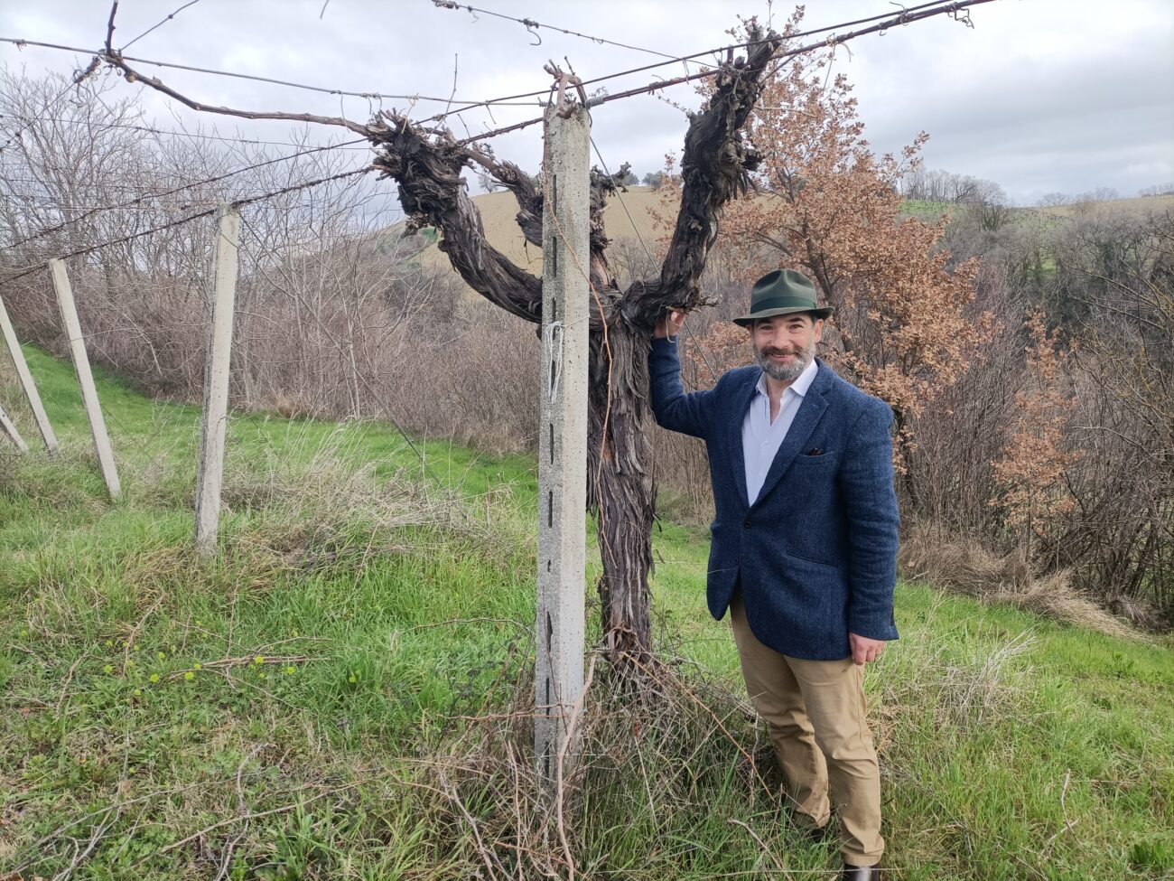 Colline Teramane: i vecchi vini bianchi di Cerulli Spinozzi e Faraone. Vini bianchi Colline Teramane: in Abruzzo la grande capacità di invecchiamento di Pecorino e Passerina (Trebbiano di Teramo)