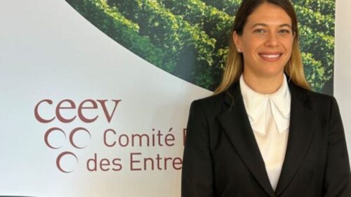 Marzia Varvaglione presidente CEEV - Comité Vins da Manduria a Bruxelles Prima donna ad occupare questo incarico. Ma i record sono due è anche la più giovane