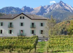 Ossola in Cantina 2025 alla scoperta dei vini eroici della Val d'Ossola APAO - Associazione Produttori Agricoli Ossolani