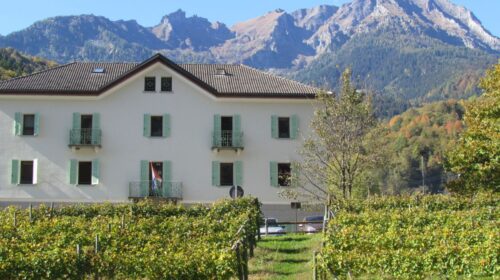 Ossola in Cantina 2025 alla scoperta dei vini eroici della Val d'Ossola APAO - Associazione Produttori Agricoli Ossolani