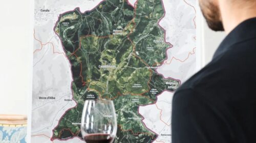 Primavera del Castellinaldo 2025 così i Vinaioli raccontano loro super Barbera d Alba domenica 30 e lunedì 31 Palazzo Re Rebaudengo di Guarene Cuneo. Ventuno produttori 40 vini degustazione