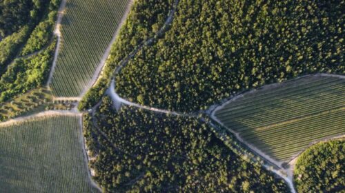 Rapitalà, Alessandro e la mafia di Camporeale cosa dicono le carte inchiesta di Palermo dda direzione distrettuale antimafia asp palermo cosa nostra esclusiva winemag davide bortone