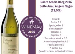 Roero Arneis Docg 2016 Sette Anni, Angelo Negro Dalla Guida Top 100 Migliori Vini italiani 2025 di Winemag