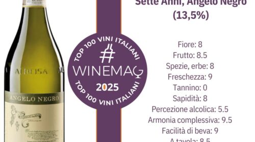 Roero Arneis Docg 2016 Sette Anni, Angelo Negro Dalla Guida Top 100 Migliori Vini italiani 2025 di Winemag