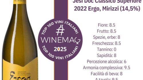 Verdicchio dei Castelli di Jesi Doc Classico Superiore 2022 Ergo, Mirizzi dalla guida top 100 migliori vini italiani winemag.it 2025